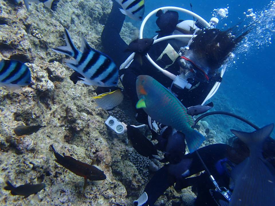 沖縄の青の洞窟で体験ダイビングツアーでお魚と戯れる