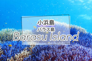 小浜島発バラス島ツアー