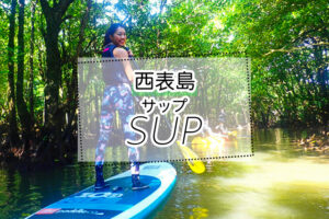 西表島のSUPツアー