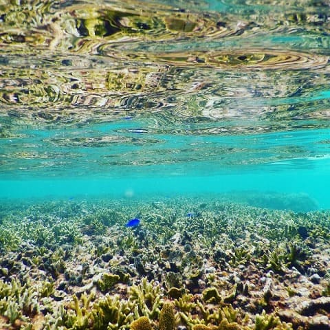 透明度抜群の宮古島の海