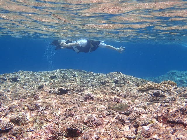 石垣島の青の洞窟付近でシュノーケルを体験