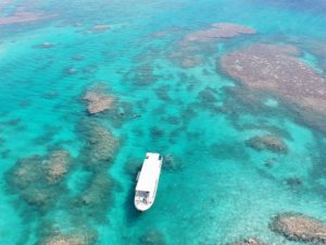 石垣島周辺の海