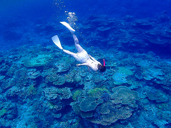 Snorkeling
