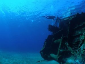 小魚がたくさん生息する沈没船付近