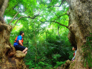 マングローブの木々の前で写真撮影