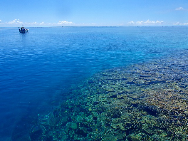 宮古島八重干瀬の珊瑚礁