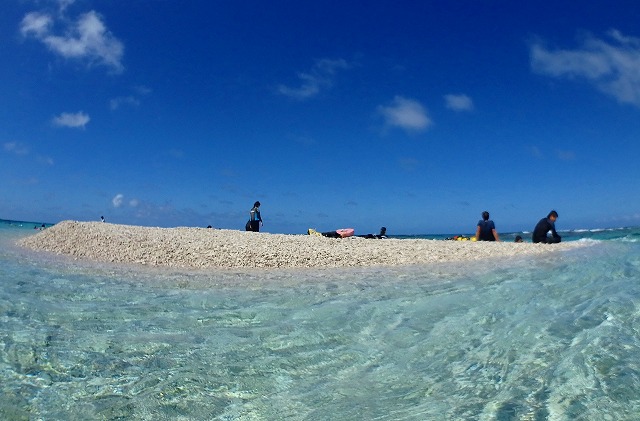 カラフルサンゴと熱帯魚を楽しめる宮古島シュノーケリング