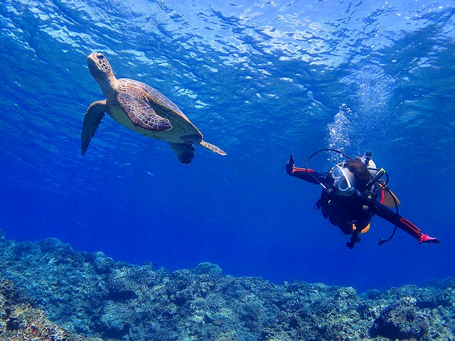 視界50ｍをも超す沖縄の海