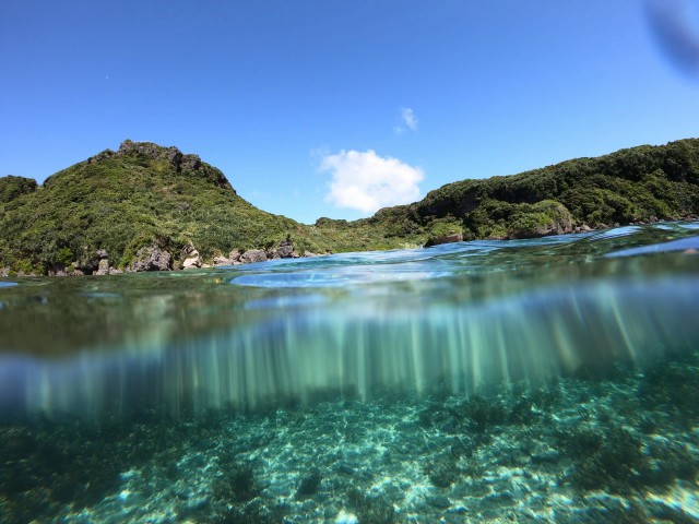 海底を埋め尽くすカラフルサンゴ