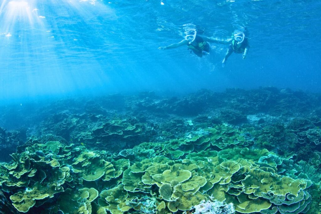 Explore the beautiful underwater world of Minna Island