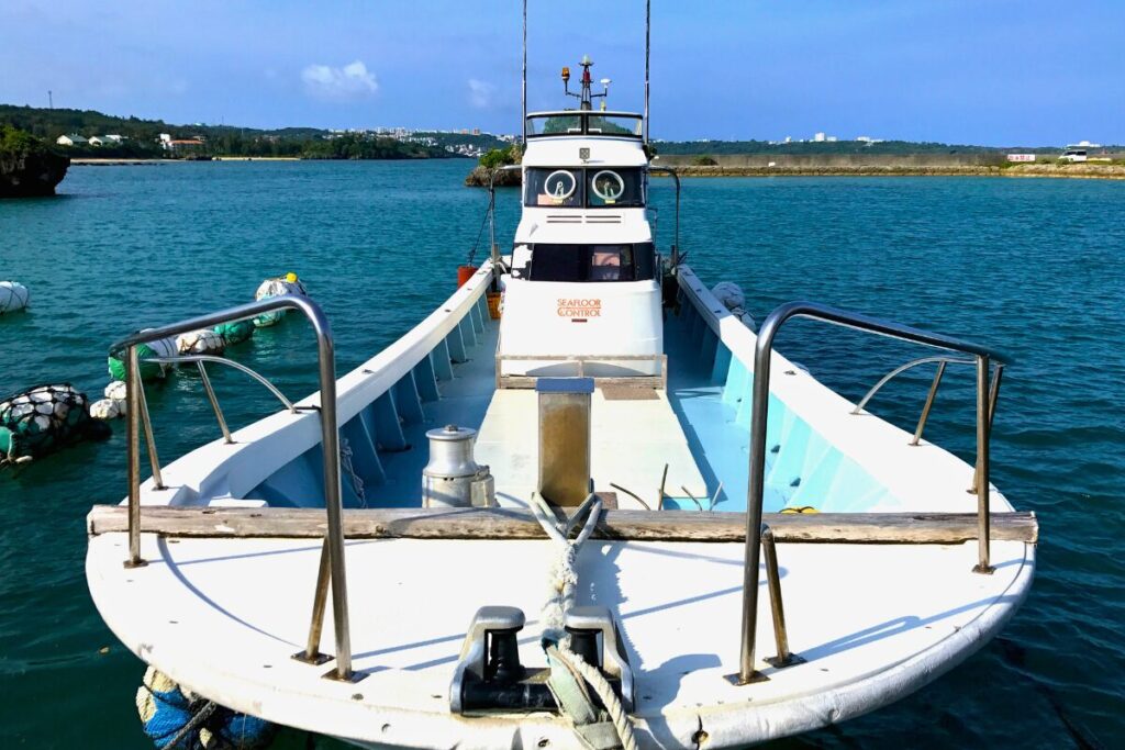 Fully chartered boat charter for up to 12 people