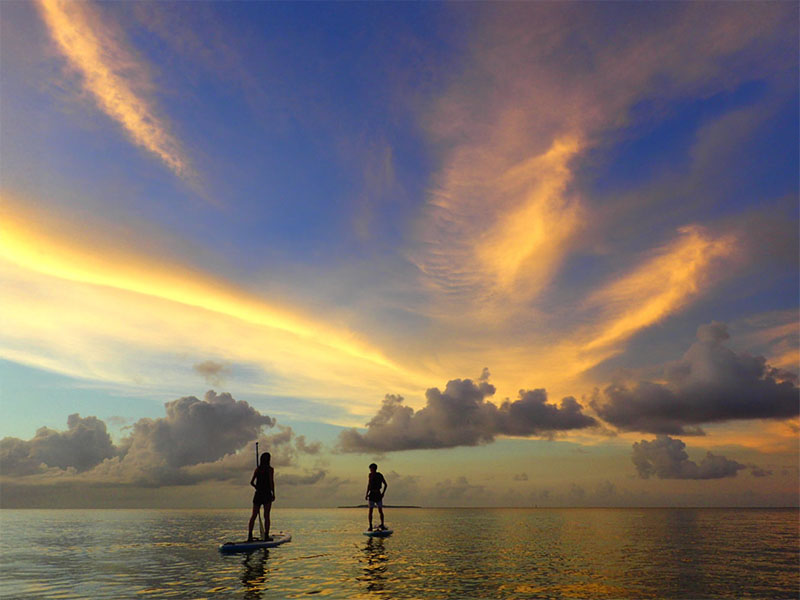 beautiful nature of Iriomote Island