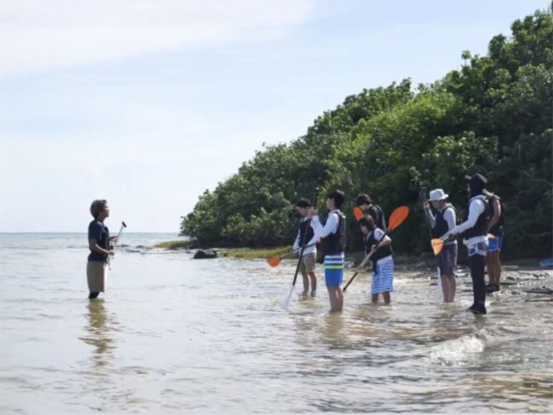 Safety first! Support of experienced guides