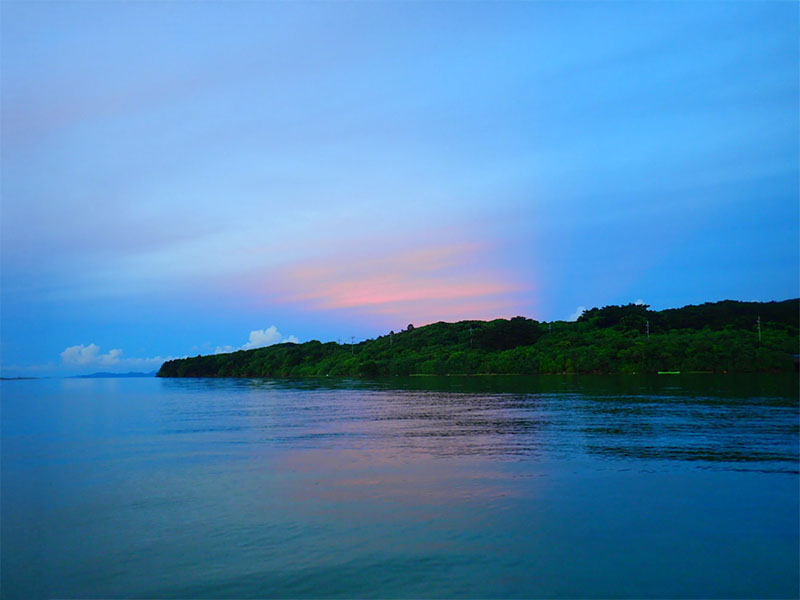 Feel the nature of Iriomote Island!