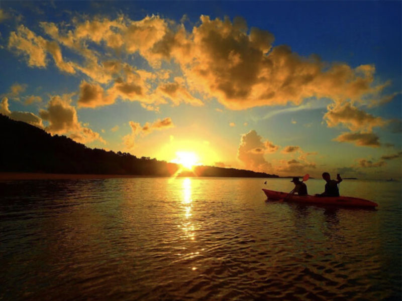 Why don't you go on an adventure that you can only experience here in Iriomote Island