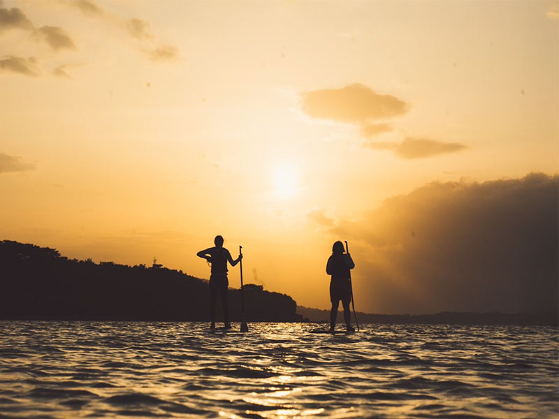 Sunrise cruising in mangrove forest