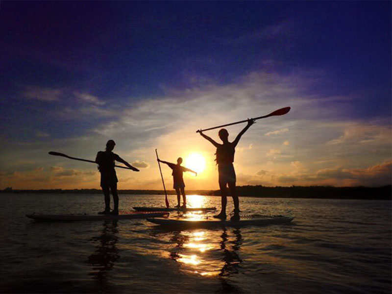 Why don't you spend a special afternoon in Iriomote Island