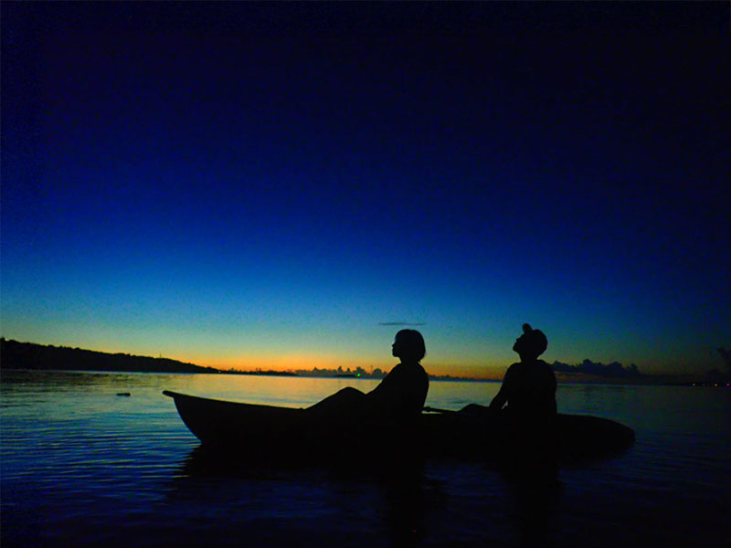 Sunset in the mangrove forest by SUP/canoe