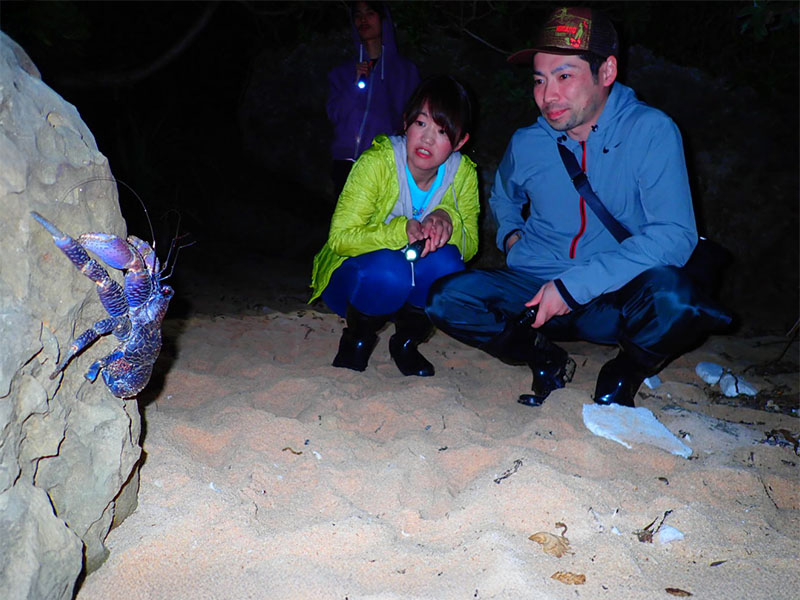 Luxurious tour that condenses the charms of Iriomote Island