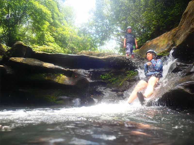 Iriomote Island registered as a World Natural Heritage site