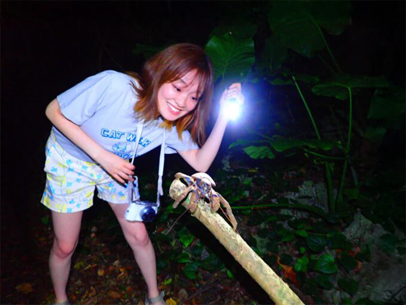 Exploring the jungle at night! Mysterious Night Tour
