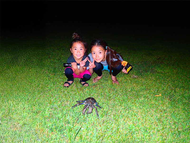 Let's play up the great nature of Iriomote Island!