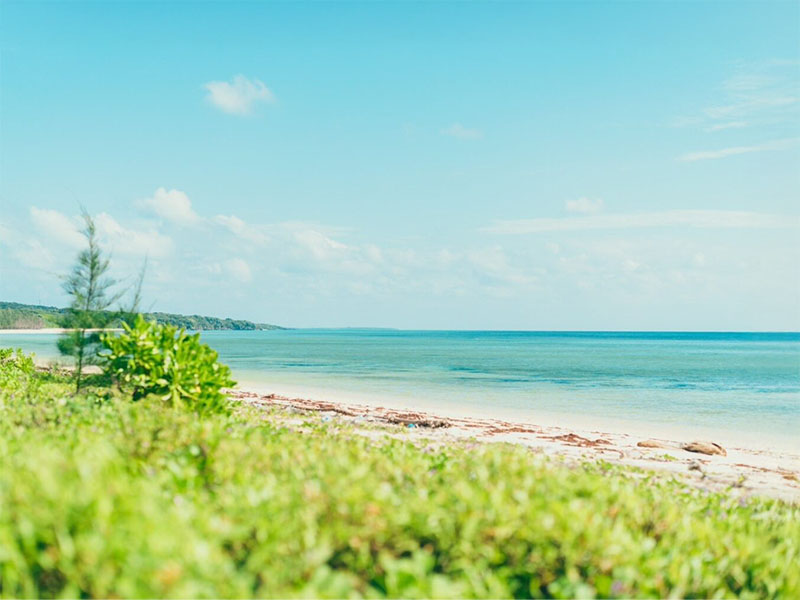Haimida no Hama: Panoramic view of Long Beach spreading out