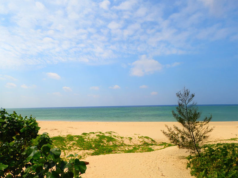 The best photo tour to enjoy the nature of Iriomote Island