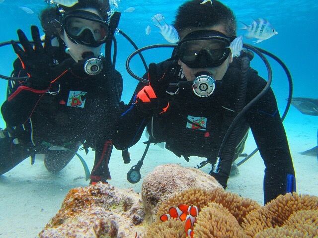 Experience Diving
