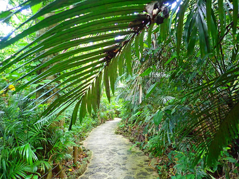 Yaeyama Palm Colony and Shisa Garden, touching the culture and history of the island