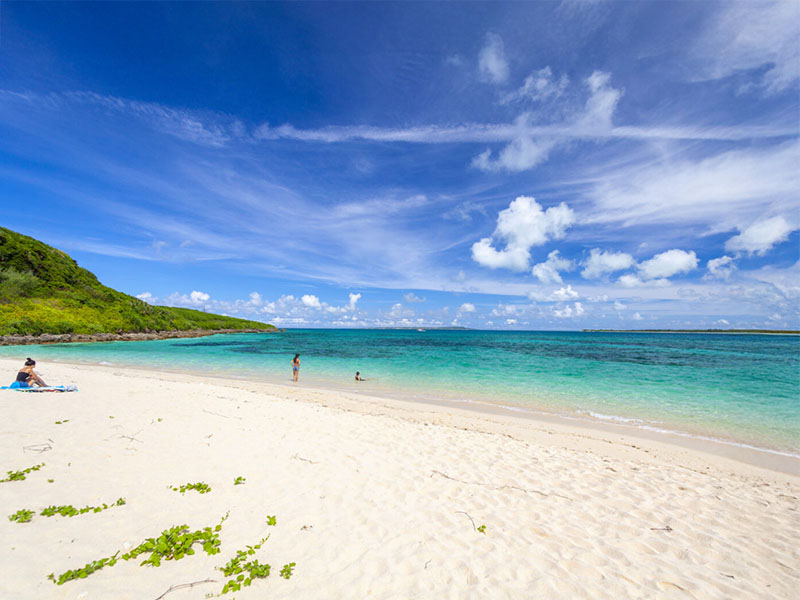 The beautiful sea called “Miyako blue” and the magnificent nature.