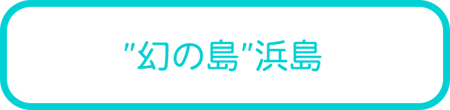 石垣島の幻の島浜島ダイビングツアー一覧