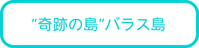 石垣島発バラス島シュノーケリングツアー一覧