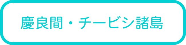 沖縄本島の慶良間・チービシ諸島ダイビングツアー一覧