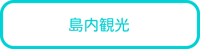 パナリ島の島内観光ツアー一覧