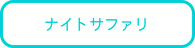 石垣島のナイトサファリツアー一覧