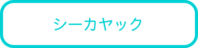 西表島のシーカヤックツアー一覧