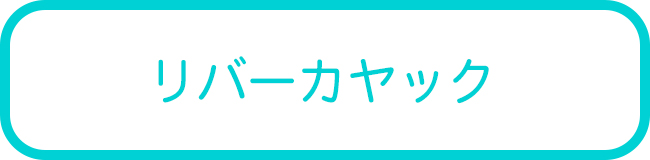 沖縄本島のマングローブカヌーツアー一覧