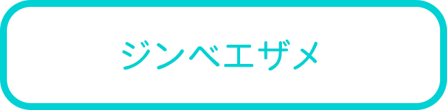 沖縄本島のジンベエザメダイビングツアー一覧