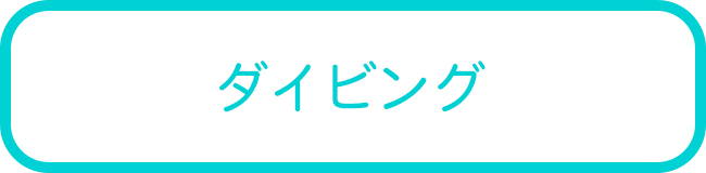 パナリ島のダイビングツアー一覧