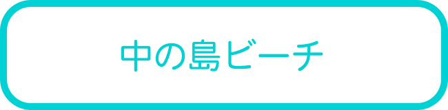 宮古島の中の島ビーチダイビングツアー一覧