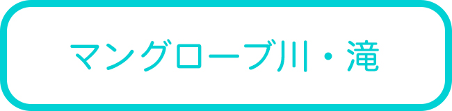 西表島のマングローブSUPツアー一覧