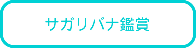 西表島のサガリバナカヌーツアー一覧