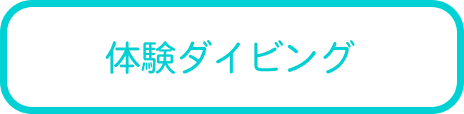 西表島の体験ダイビングツアー一覧