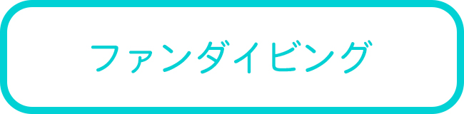 西表島のファンダイビングツアー一覧