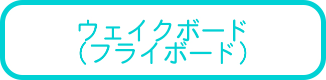 沖縄本島のウェイクボード・ フライボードツアー一覧