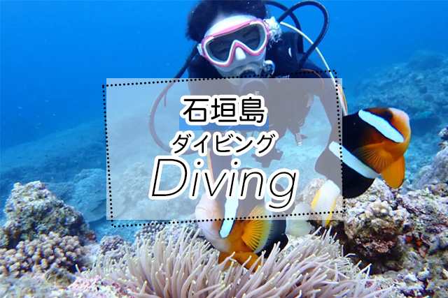 石垣島のダイビングツアー