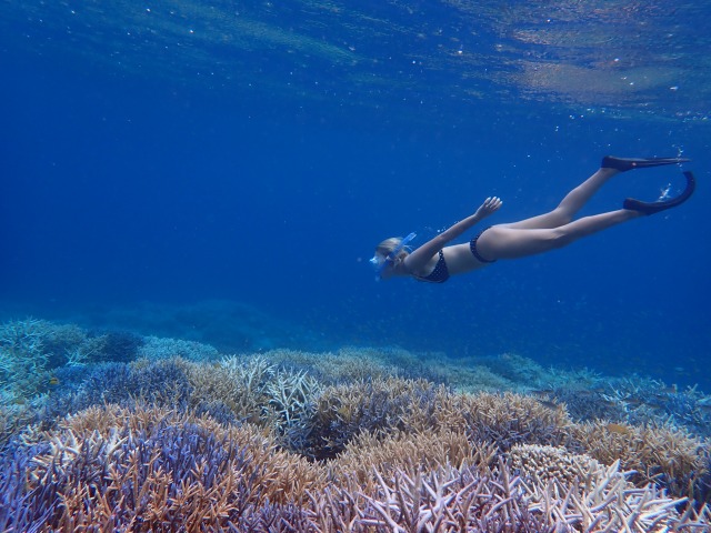 バラス島周辺の珊瑚礁と熱帯魚