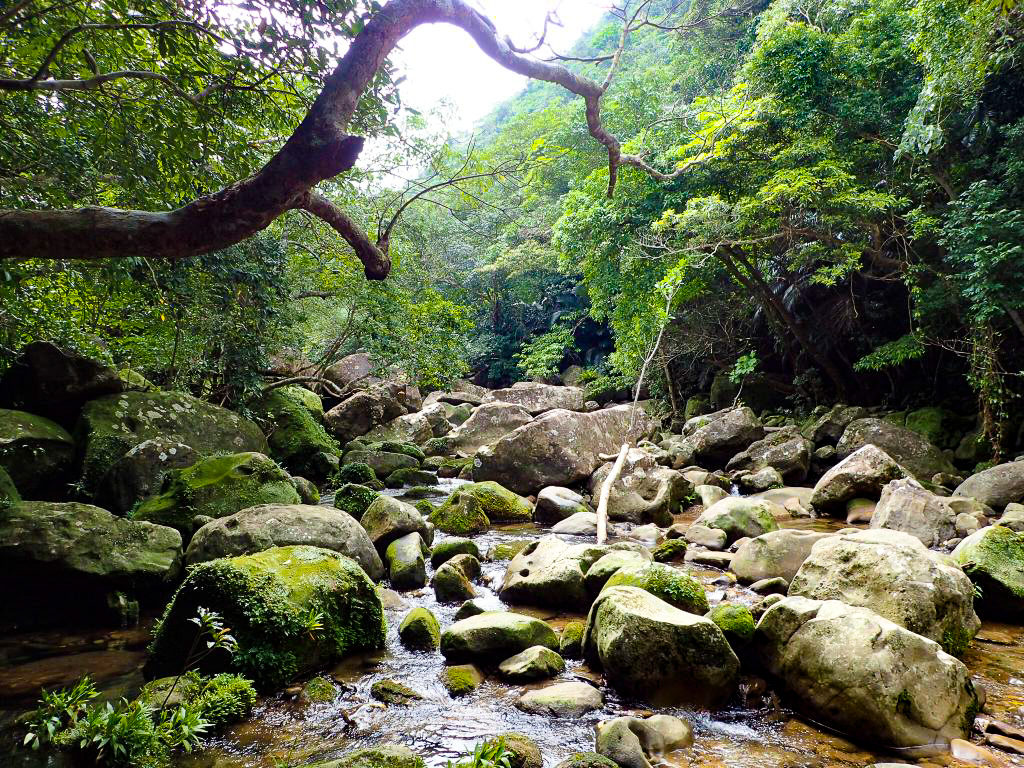 モダマ池へ向かう際の上流