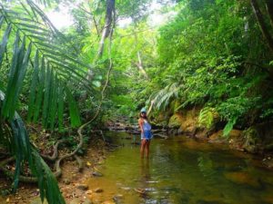 西表島のジャングルに立つ女性